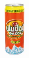 ULUDAG Erfrischungsgetrnk Orange 24x0,33l Exp.