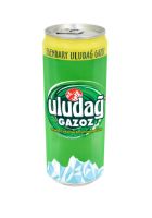 ULUDAG Erfrischungsget-Frucht 24x0,33l Dose DPG